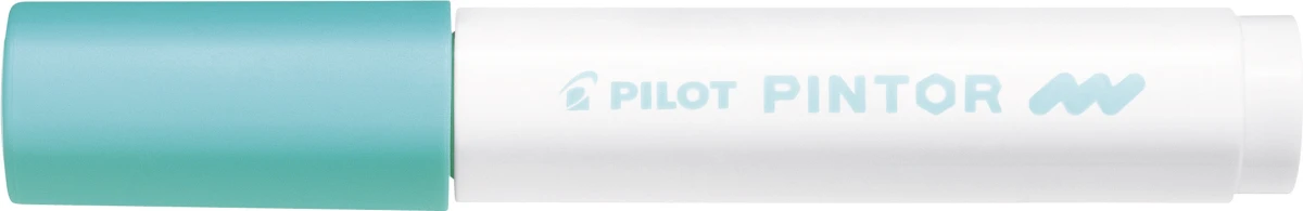 PILOT Marker Pintor M