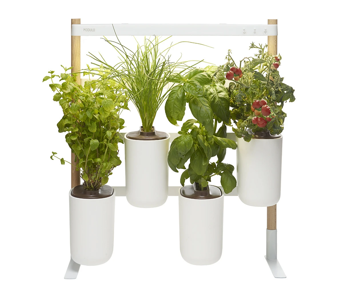 Prêt à Pousser Modulo 2