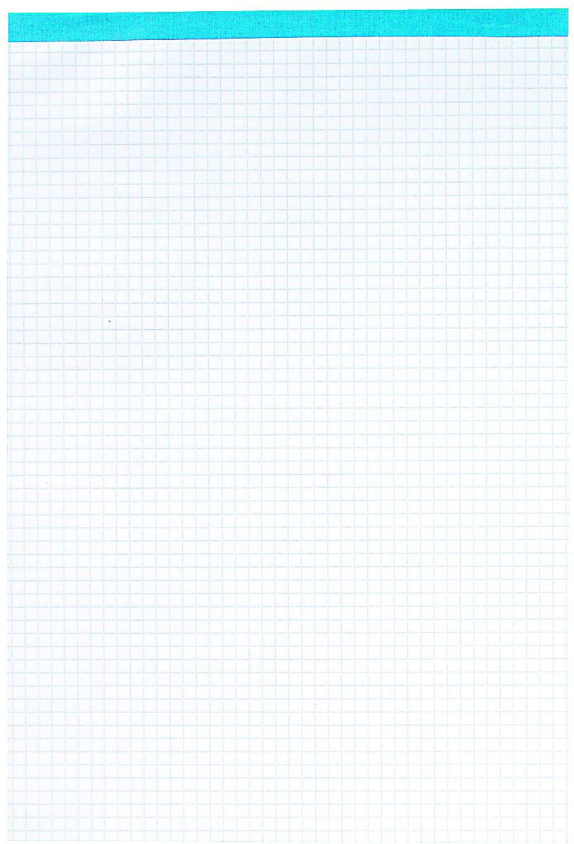 ELCO Notizblock Office A4 kariert 5 mm, 65 g/m2