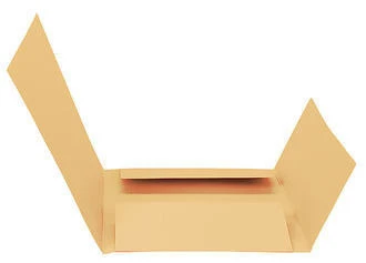 Biella Aktensammler Jura, gelb