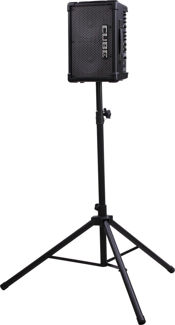 Roland CUBE-STEX Stereo-Verstärker
