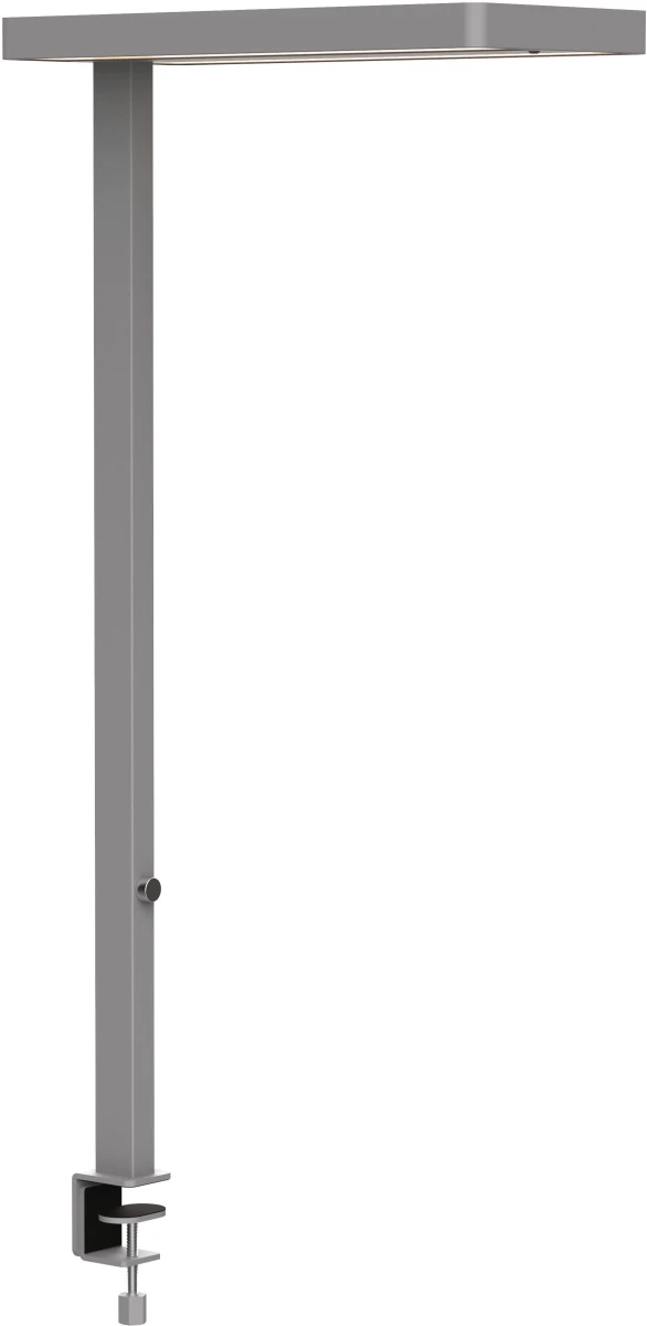 MAUL LED-Tischleuchte MAULjuvis