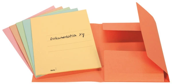 Biella Aktensammler Jura, grün