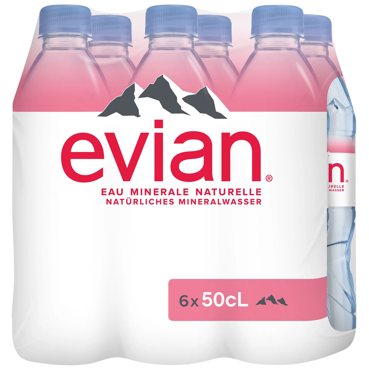 EVIAN Mineralwasser ohne Kohlensäure 6 x 500 ml