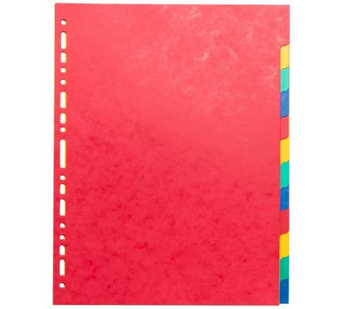 EXACOMPTA Blankoregister TopColor 12-teilig