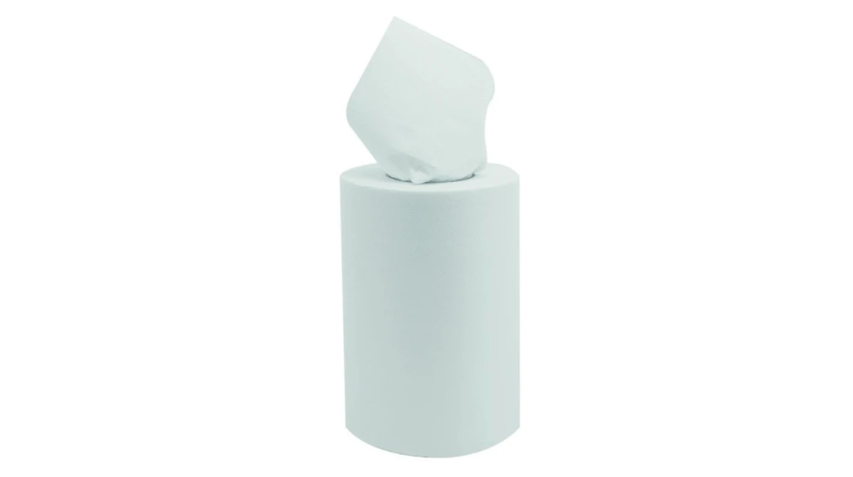 EVADIS Papierwischtücher Mini 2-lagig, 9 Rollen