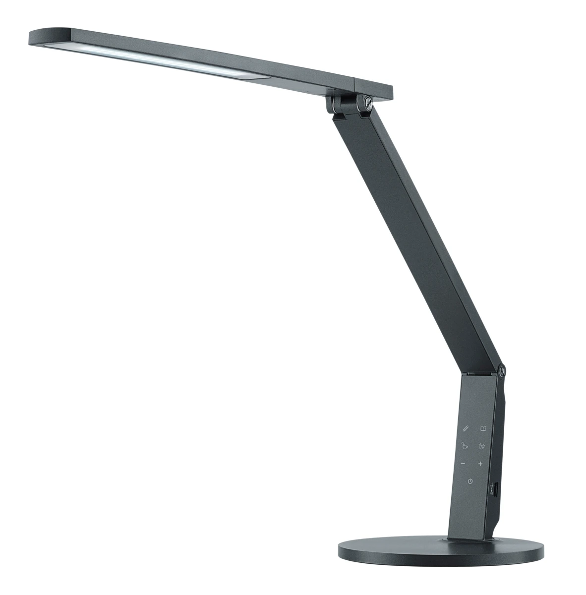 Hansa LED-Leuchte "LED Vario Plus", anthrazit