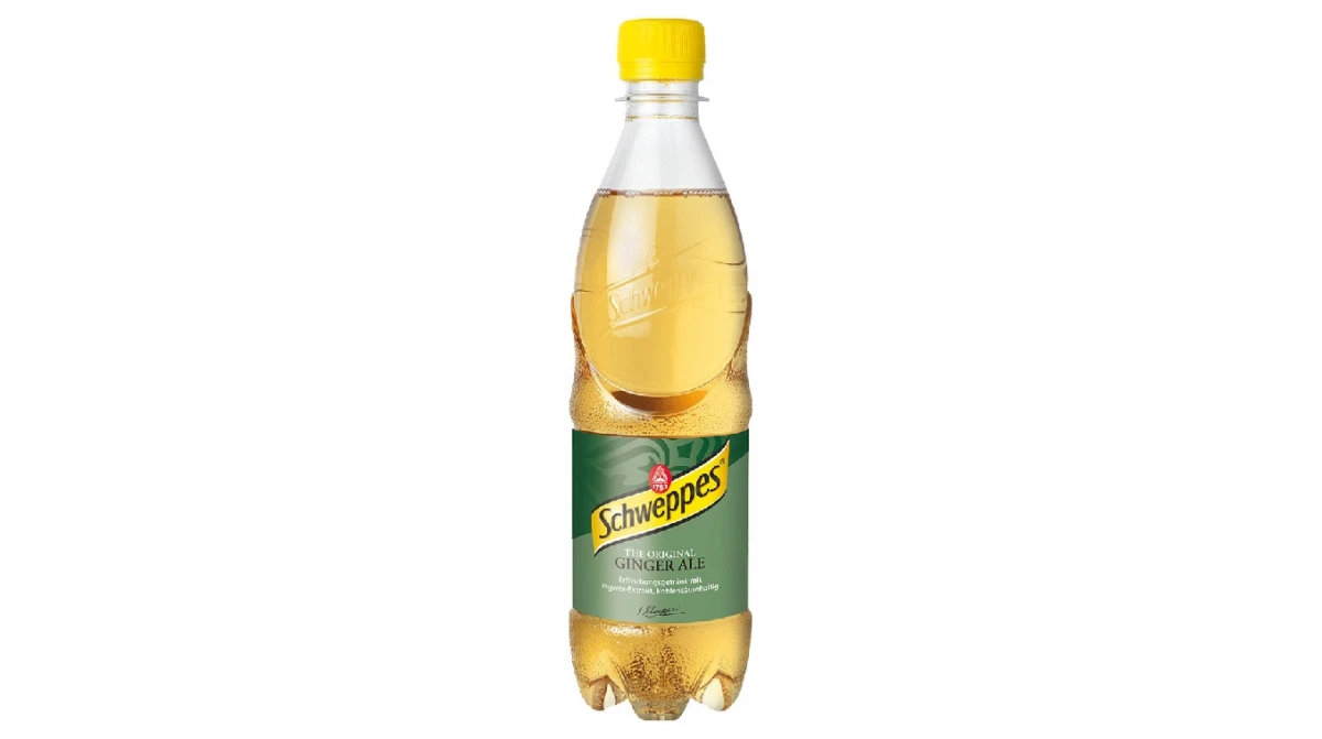 SCHWEPPES Ginger Ale 24 x 500 ml