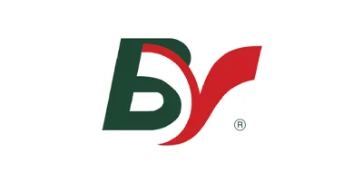 Bastos Viegas