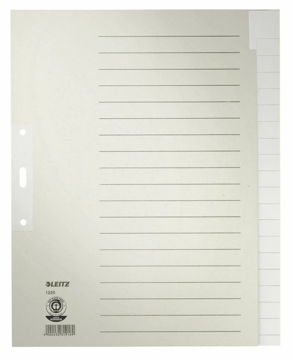 LEITZ Blankoregister 20-teilig